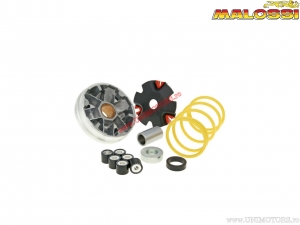 Variator Multivar (517134) - Honda MTX automatic 50 AIR 2T ('84-'88) / NSR automatic 50 AIR 2T ('89) - Malossi
