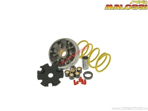 Variator Multivar (518852) - PGO Big Max 50 AIR 2T ('94-'02) / X-Hot 50 AIR 2T E2 ('09-'17) - Malossi
