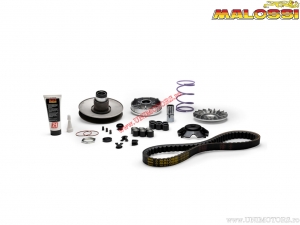Variator Over Range (6119040) - Gilera Easy Moving 50 2T / Piaggio Quartz 50 2T LC / Vespa ET2 50 2T (<-'99)  - Malossi