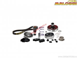 Variator Over Range MHR aluminum (long crankcase) - Aprilia Habana Custom 50 AIR 2T E2 '04-'10 (Piaggio) - Malossi