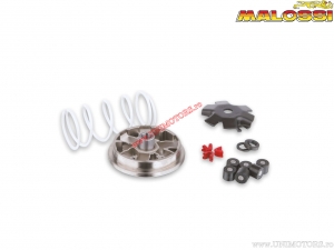 Variomatik Multivar (5112206) - Dinli Helix DL603 50 2T (06A53) / T.Rex 50 2T - Malossi