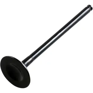 Vervangingsklep - Zwart - 09263111