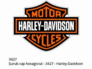 Vis à tête hexagonale - 3427 - Harley-Davidson