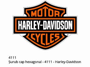 Vis à tête hexagonale - 4111 - Harley-Davidson