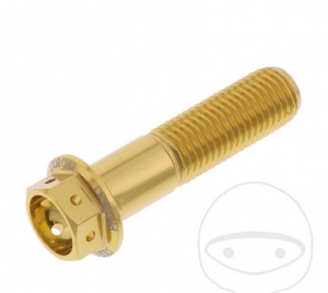 Vis à tête hexagonale Pro Bolt M10 x 1.25 x 40 mm Aluminium Course Or - JM