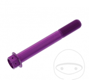 Vis à tête hexagonale Pro Bolt M10 x 1.25 x 75 mm Aluminium Racing Violet - JM