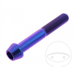 Vis de capuchon conique rond Pro Bolt M10 x 1.25 x 65 mm acier inoxydable A4 violet - JM