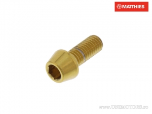 Vis de capuchon conique rond Pro Bolt M5 x 0.80 x 12 mm Acier inoxydable A4 Or - JM