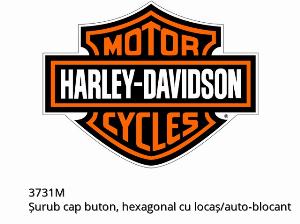 Vis tête bombée, hexagonale à empreinte six pans/antidévissage - 3731M - Harley-Davidson