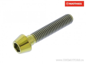 Vite a bullone conico rotondo Pro Bolt M5 x 0.80 x 25 mm titanio oro - JM