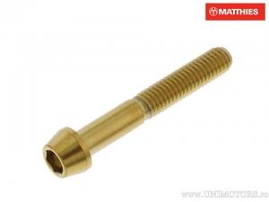 Vite a cappuccio conico rotondo Pro Bolt M6 x 1.00 x 40 mm acciaio inossidabile A4 oro - JM