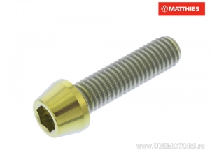 Vite a cappuccio conico rotondo Pro Bolt M8 x 1.25 x 30 mm titanio oro - JM