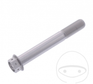 Vite a cappuccio esagonale Pro Bolt M10 x 1.25 x 75 mm in alluminio Racing argento - JM
