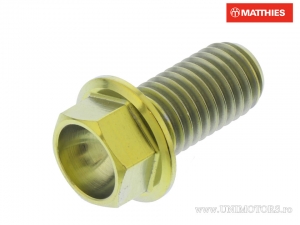 Vite a cappuccio esagonale Pro Bolt M10 x 1.50 x 20 mm titanio oro - JM