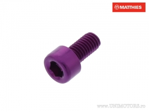 Vite a testa tonda Pro Bolt M5 x 0.80 x 10 mm Alluminio Viola - JM
