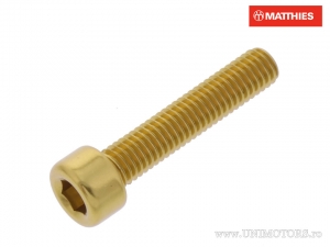 Vite a testa tonda Pro Bolt M5 x 0.80 x 25 mm in alluminio dorato - JM