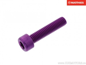 Vite a testa tonda Pro Bolt M8 x 1.25 x 35 mm alluminio viola - JM