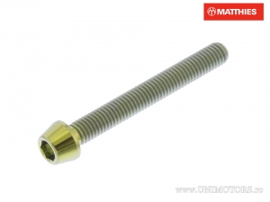 Vite tappo conico rotondo Pro Bolt M5 x 0.80 x 40 mm titanio oro - JM