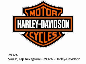 Vite testa esagonale - 2932A - Harley-Davidson