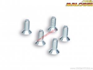 Viti TSCE M6x16mm (5 pezzi) - Malossi