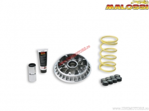 Wariator Multivar 2000 (5114263) - Suzuki Burgman 400i H2O 4T E3 ('07-'09) - Malossi