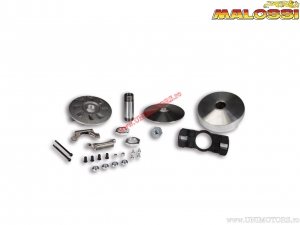 Wariator Variotop (516840) - Malossi