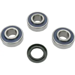Wheel Bearings and Seal Kit - A251366
