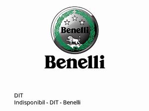 Ya no disponible - DIT - Benelli