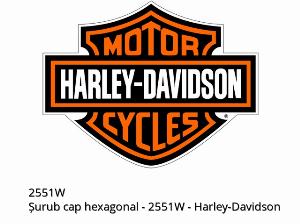 Zeskantbout - 2551W - Harley-Davidson