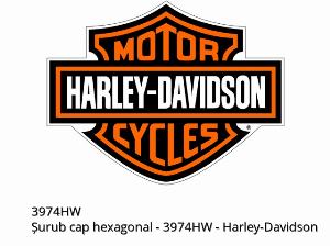 Zeskantbout - 3974HW - Harley-Davidson