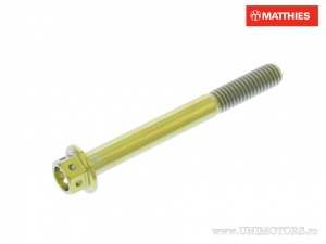 Zeskantige dopbout Pro Bolt M6 x 1.00 x 55 mm titanium goud - JM