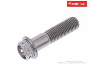 Zeskantige schroefdop Pro Bolt M10 x 1.25 x 40 mm titanium Racing grip - JM