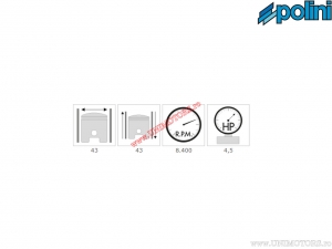 Zylindersatz (Durchmesser 43mm / 63ccm) - 1400133/10 - Polini