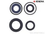 Öldichtungssatz für Motor - Hercules Limbo 25MA / Peugeot Looxor 50 / SV50TT / Sachs Limbo 50M / SR80 Samba - Athena