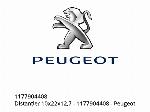 Αποστάτης 10x22x12,7 - 1177904408 - Peugeot