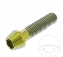 Βίδα καπάκι κυκλική κωνική Pro Bolt M10 x 1.50 x 40 mm ανοξείδωτο ατσάλι A4 χρυσό - 
