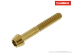 Βίδα καπάκι κυκλική κωνική Pro Bolt M6 x 1.00 x 40 mm ανοξείδωτο ατσάλι A4 χρυσό - J
