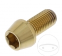 Βίδα καπάκι κωνική Pro Bolt M10 x 1.25 x 20 mm ανοξείδωτο ατσάλι A4 χρυσό - JM