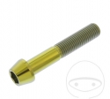 Βίδα καπάκι κωνική Pro Bolt M10 x 1.25 x 55 mm ανοξείδωτο ατσάλι A4 χρυσό - JM