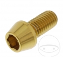Βίδα καπάκι κωνική Pro Bolt M10 x 1.50 x 20 mm ανοξείδωτο ατσάλι A4 χρυσό - JM