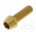 Βίδα καπάκι στρογγυλή κωνική Pro Bolt M10 x 1.25 x 30 χιλ. ανοξείδωτο ατσάλι A4 χρ