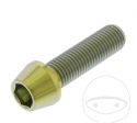 Βίδα καπάκι στρογγυλή κωνική Pro Bolt M10 x 1.25 x 35 mm από ανοξείδωτο ατσάλι A4 χ