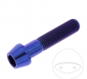 Βίδα καπάκι στρογγυλή κωνική Pro Bolt M10 x 1.25 x 45 mm ανοξείδωτο ατσάλι A4 μπλε 