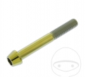 Βίδα καπάκι στρογγυλή κωνική Pro Bolt M10 x 1.25 x 75 χιλ. ανοξείδωτο ατσάλι A4 χρ