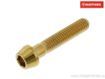 Βίδα καπάκι στρογγυλή κωνική Pro Bolt M6 x 1.00 x 30 mm ανοξείδωτο ατσάλι A4 χρυσό