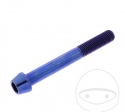 Βίδα με στρογγυλή κωνική καπάκι Pro Bolt M10 x 1.25 x 80 χιλ. από ανοξείδωτο ατσά