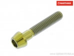 Βίδα με στρογγυλή κωνική καπάκι Pro Bolt M6 x 1.00 x 28 mm τιτάνιο χρυσό - JM