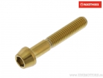 Βίδα με στρογγυλή κωνική καπάκι Pro Bolt M6 x 1.00 x 35 mm από ανοξείδωτο ατσάλι A