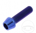 Βίδα με στρογγυλή κωνική κεφαλή Pro Bolt M10 x 1.25 x 35 mm από ανοξείδωτο ατσάλι 