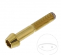 Βίδα με στρογγυλή κωνική κεφαλή Pro Bolt M10 x 1.25 x 55 mm από ανοξείδωτο ατσάλι 